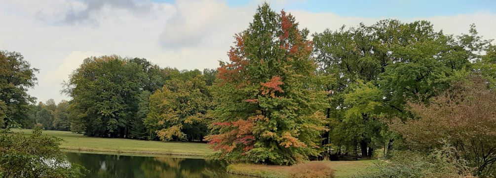 Schwäbischer Albverein | Ortsgruppe Elchingen